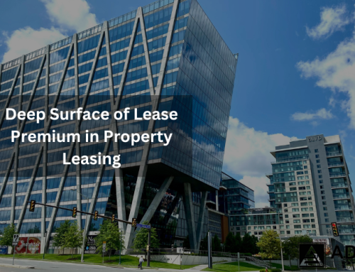 Deep Surface of Lease Premium in Property Leasing
